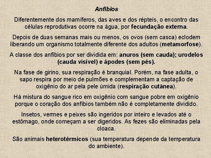 Anfíbios Diferentemente dos mamíferos, das aves e dos répteis, o encontro das células reprodutivas