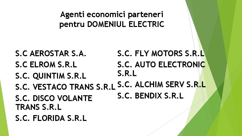 Agenti economici parteneri pentru DOMENIUL ELECTRIC S. C AEROSTAR S. A. S. C. FLY