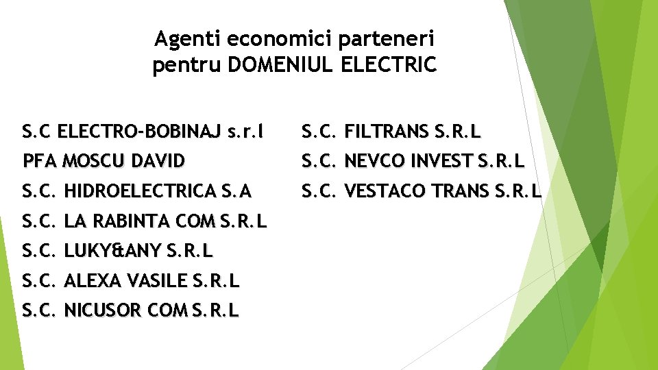 Agenti economici parteneri pentru DOMENIUL ELECTRIC S. C ELECTRO-BOBINAJ s. r. l S. C.