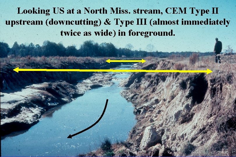 Looking US at a North Miss. stream, CEM Type II upstream (downcutting) & Type