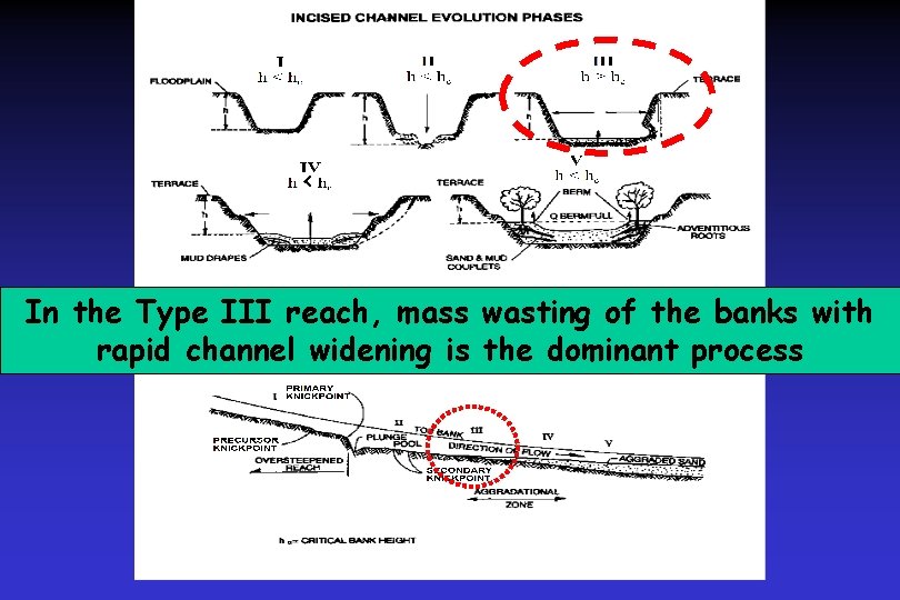 < In the Type III reach, mass wasting of the banks with rapid channel