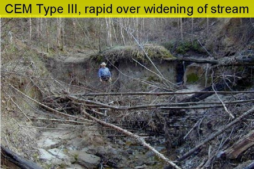 CEM Type III, rapid over widening of stream 