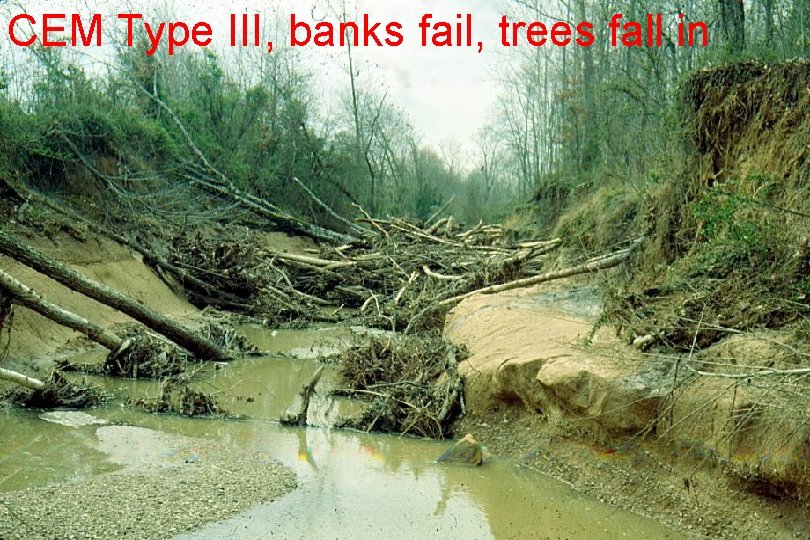 CEM Type III, banks fail, trees fall in 