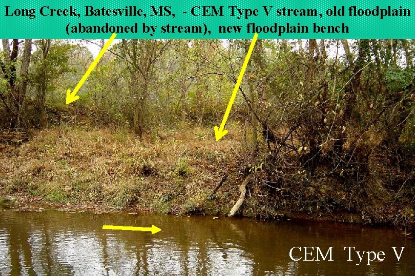 Long Creek, Batesville, MS, - CEM Type V stream, old floodplain (abandoned by stream),