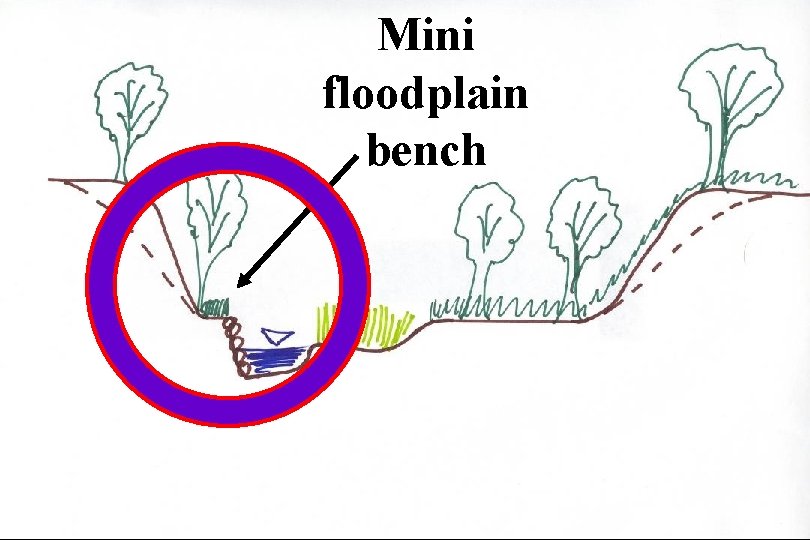 Mini floodplain bench 