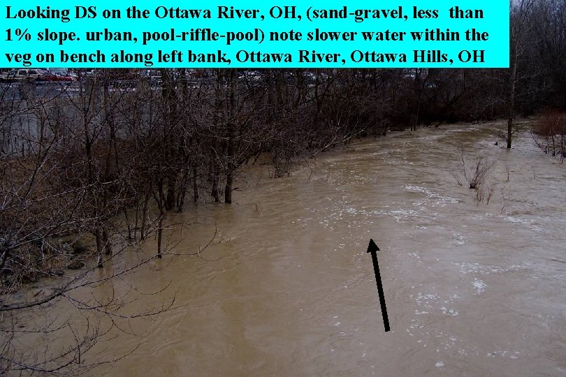 Looking DS on the Ottawa River, OH, (sand-gravel, less than 1% slope. urban, pool-riffle-pool)