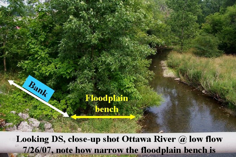 Ba n k Floodplain bench Looking DS, close-up shot Ottawa River @ low flow