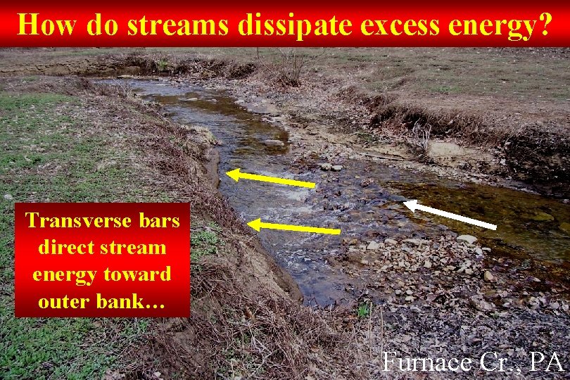 How do streams dissipate excess energy? Transverse bars direct stream energy toward outer bank…