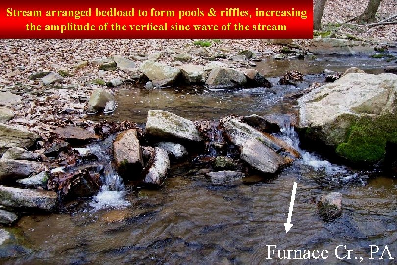 Stream arranged bedload to form pools & riffles, increasing the amplitude of the vertical