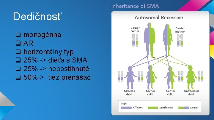 Dedičnosť ❏ monogénna ❏ AR ❏ horizontálny typ ❏ 25% -> dieťa s SMA