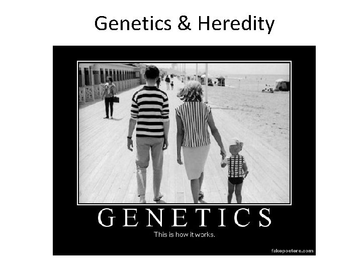 Genetics & Heredity 