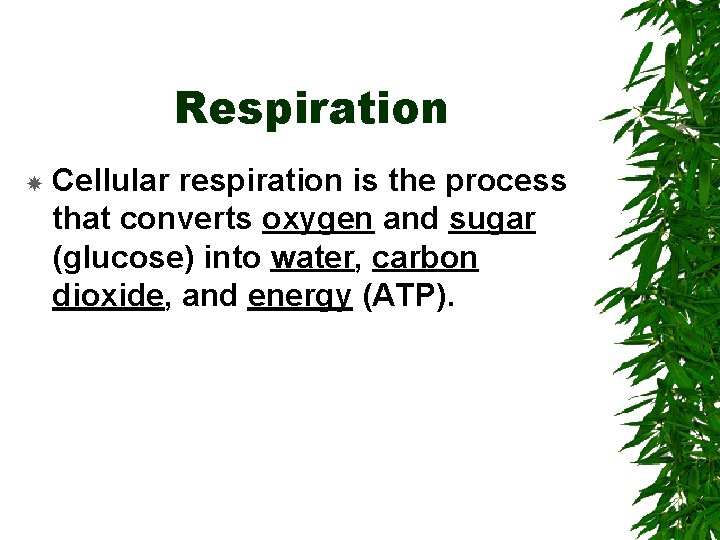 Respiration Cellular respiration is the process that converts oxygen and sugar (glucose) into water,