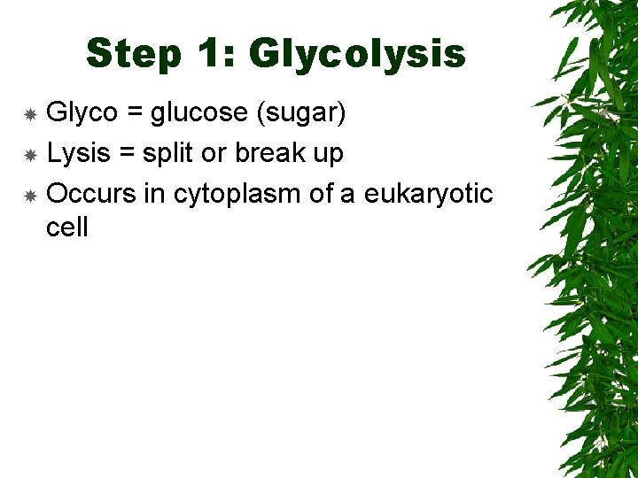 Step 1: Glycolysis Glyco = glucose (sugar) Lysis = split or break up Occurs