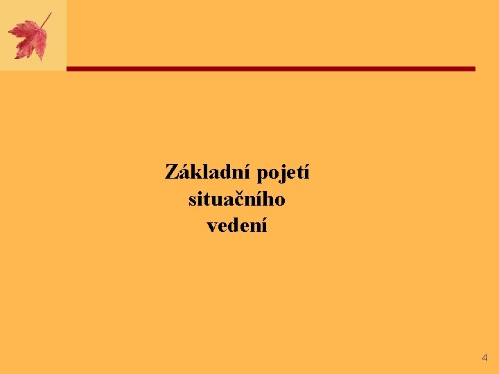 Základní pojetí situačního vedení 4 