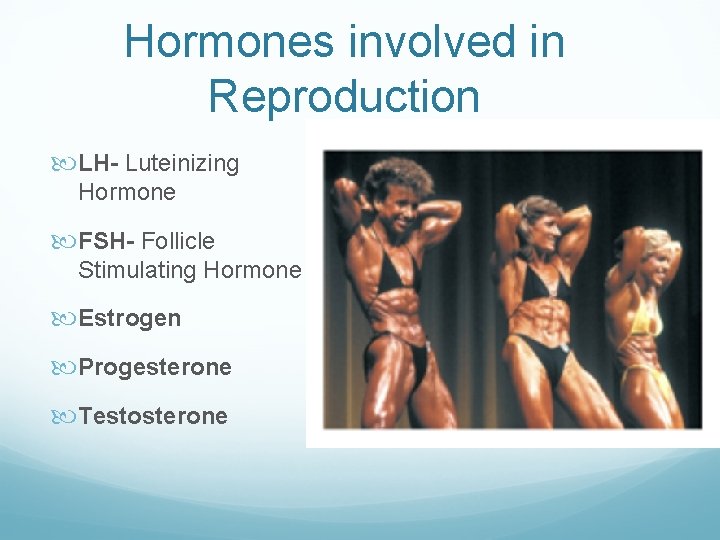 Hormones involved in Reproduction LH- Luteinizing Hormone FSH- Follicle Stimulating Hormone Estrogen Progesterone Testosterone