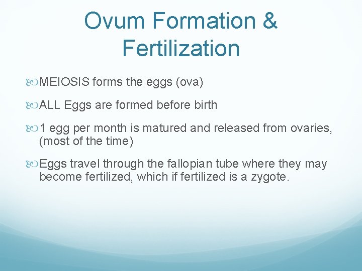 Ovum Formation & Fertilization MEIOSIS forms the eggs (ova) ALL Eggs are formed before