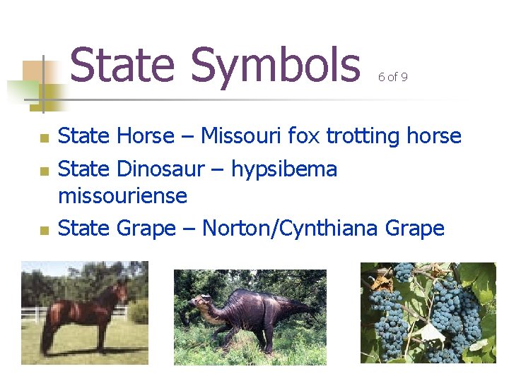 State Symbols n n n 6 of 9 State Horse – Missouri fox trotting