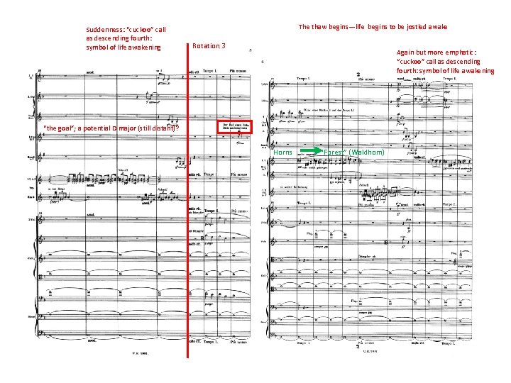 Suddenness: “cuckoo” call as descending fourth: symbol of life awakening The thaw begins—life begins