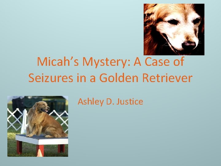 Micah’s Mystery: A Case of Seizures in a Golden Retriever Ashley D. Justice 