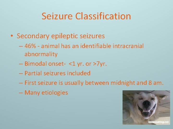 Seizure Classification • Secondary epileptic seizures – 46% - animal has an identifiable intracranial