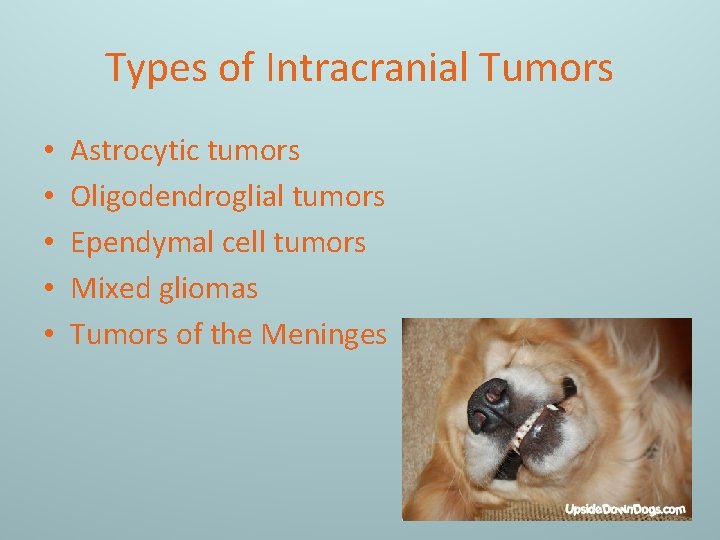 Types of Intracranial Tumors • • • Astrocytic tumors Oligodendroglial tumors Ependymal cell tumors