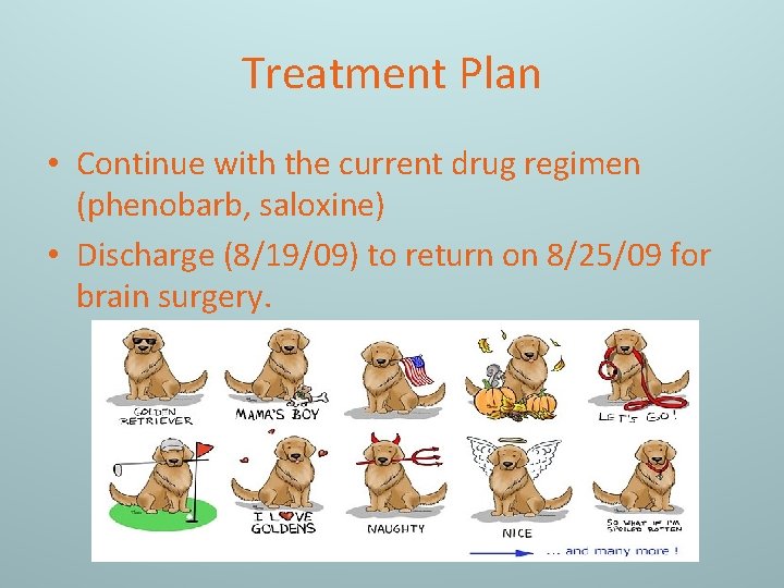 Treatment Plan • Continue with the current drug regimen (phenobarb, saloxine) • Discharge (8/19/09)