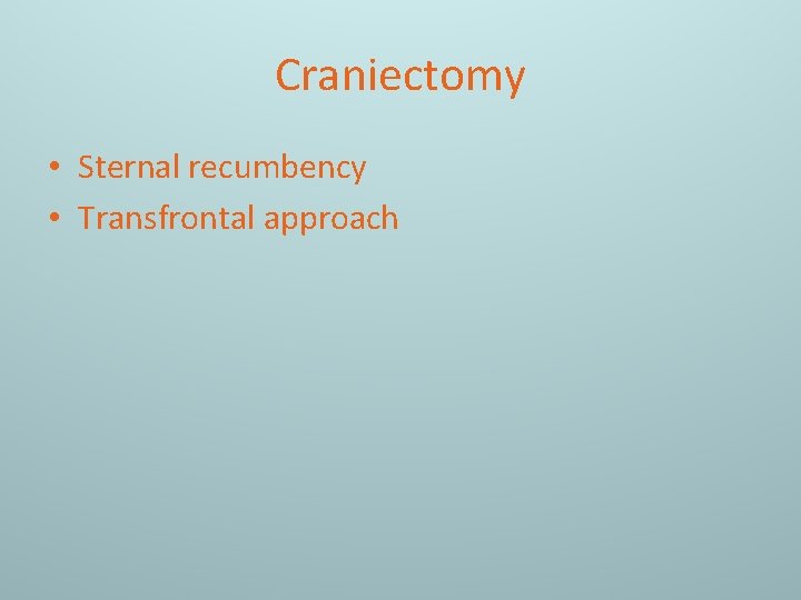 Craniectomy • Sternal recumbency • Transfrontal approach 