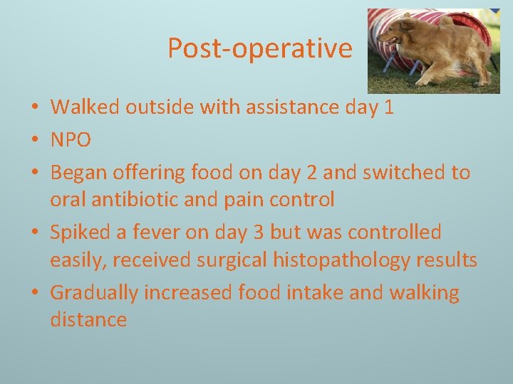 Post-operative • Walked outside with assistance day 1 • NPO • Began offering food