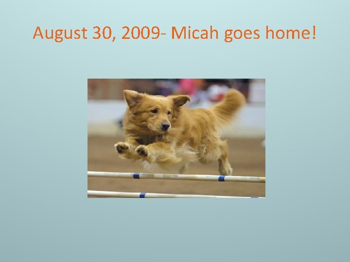 August 30, 2009 - Micah goes home! 
