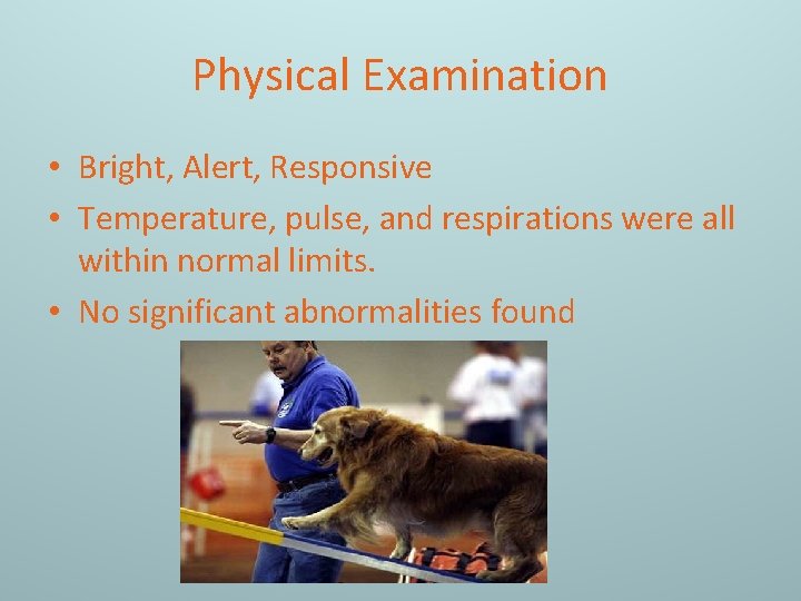 Physical Examination • Bright, Alert, Responsive • Temperature, pulse, and respirations were all within
