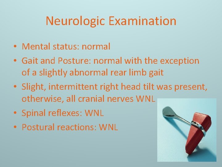 Neurologic Examination • Mental status: normal • Gait and Posture: normal with the exception