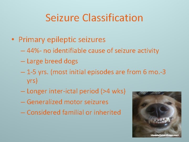 Seizure Classification • Primary epileptic seizures – 44%- no identifiable cause of seizure activity