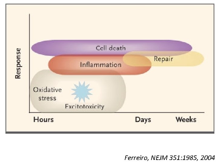 Ferreiro, NEJM 351: 1985, 2004 