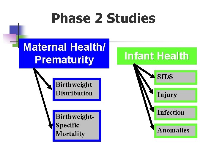 Phase 2 Studies Maternal Health/ Prematurity Birthweight Distribution Birthweight. Specific Mortality Infant Health SIDS