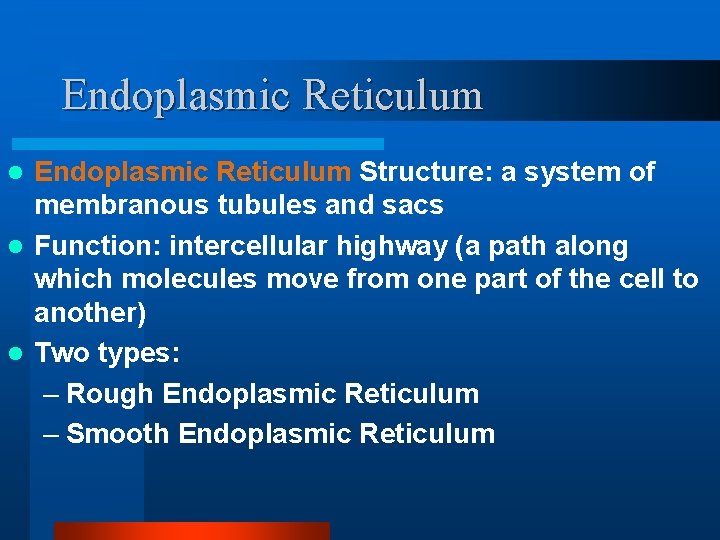 Endoplasmic Reticulum Structure: a system of membranous tubules and sacs l Function: intercellular highway