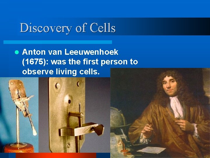 Discovery of Cells l Anton van Leeuwenhoek (1675): was the first person to observe