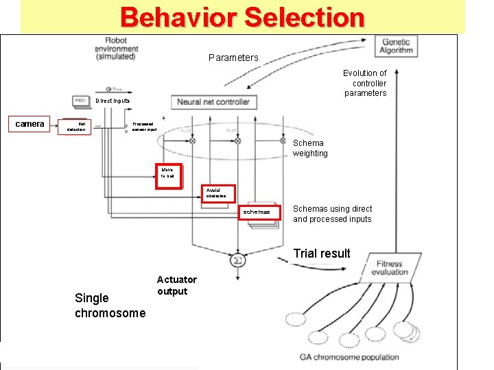 Behavior Selection Parameters Evolution of controller parameters Direct inputs camera Ball detection Processed sensor