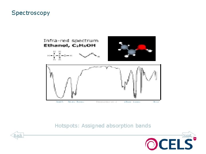 Spectroscopy Hotspots: Assigned absorption bands Back Next 