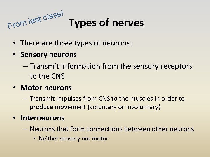 ! s s a l st c a l m o Fr Types of