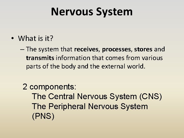 Nervous System • What is it? – The system that receives, processes, stores and