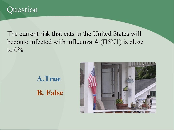 Question The current risk that cats in the United States will become infected with