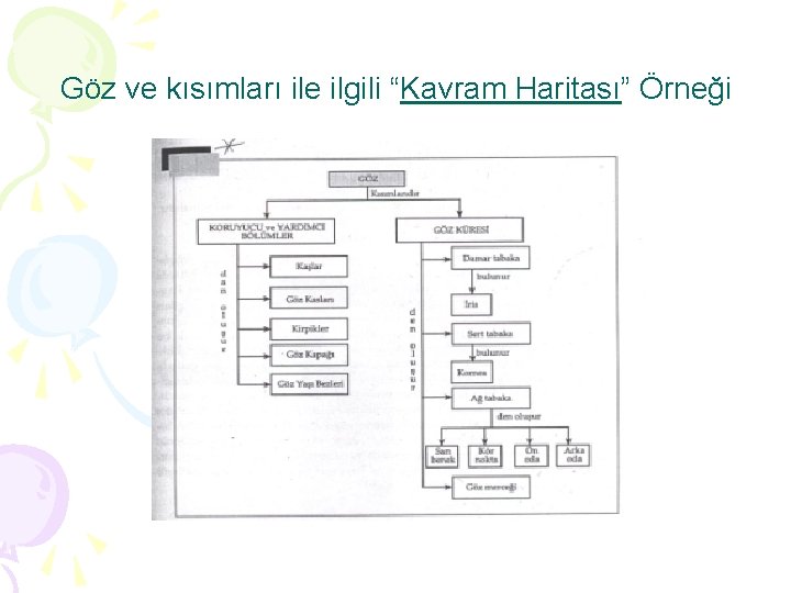 Göz ve kısımları ile ilgili “Kavram Haritası” Örneği 