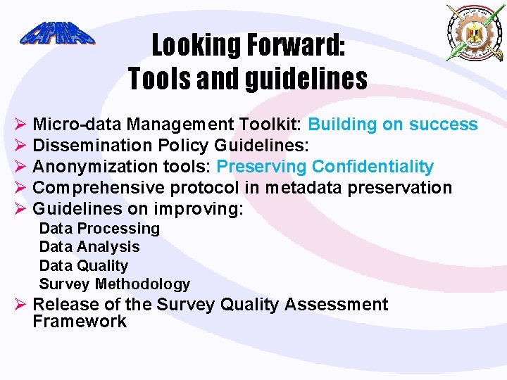 Looking Forward: Tools and guidelines Ø Micro-data Management Toolkit: Building on success Ø Dissemination