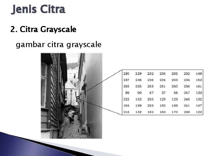 Jenis Citra 2. Citra Grayscale gambar citra grayscale 