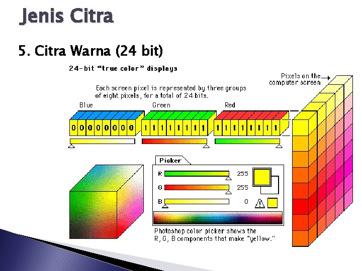 Jenis Citra 5. Citra Warna (24 bit) 