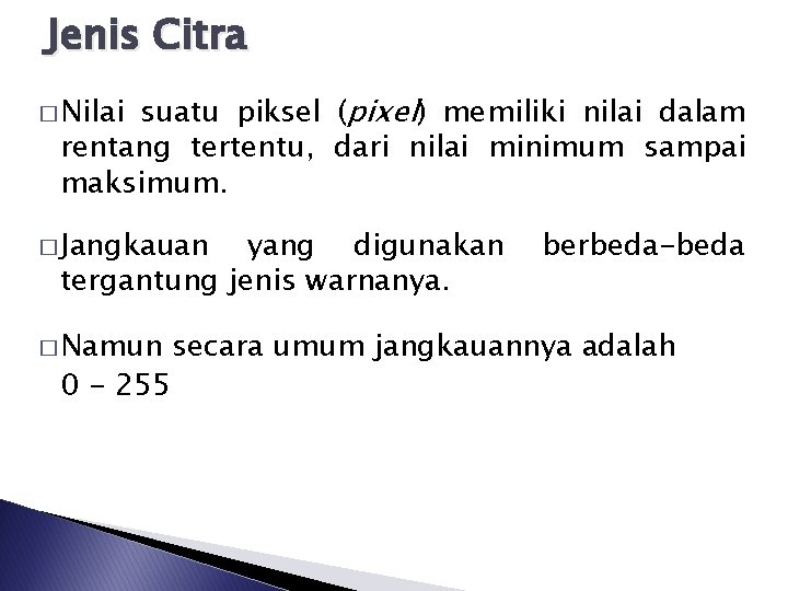 Jenis Citra suatu piksel (pixel) memiliki nilai dalam rentang tertentu, dari nilai minimum sampai