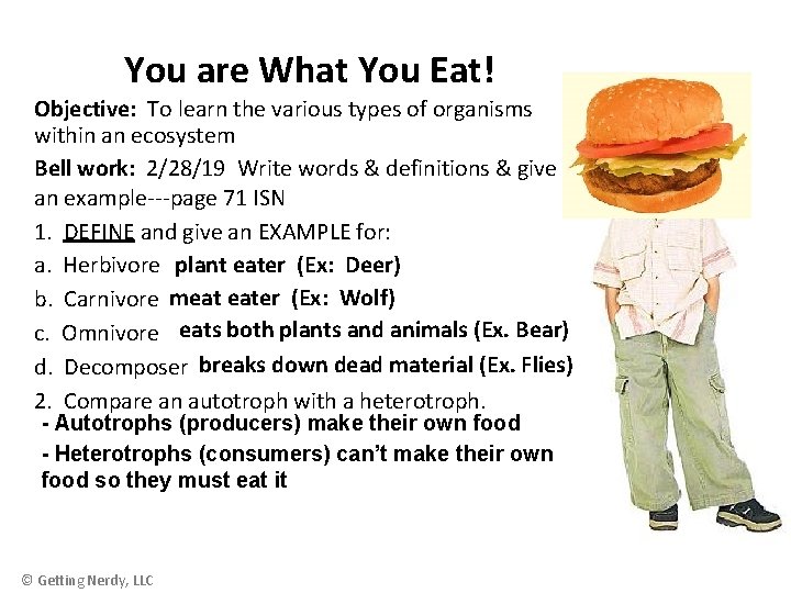 You are What You Eat! Objective: To learn the various types of organisms within