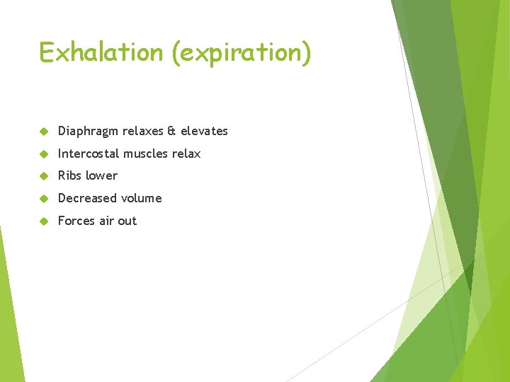 Exhalation (expiration) Diaphragm relaxes & elevates Intercostal muscles relax Ribs lower Decreased volume Forces