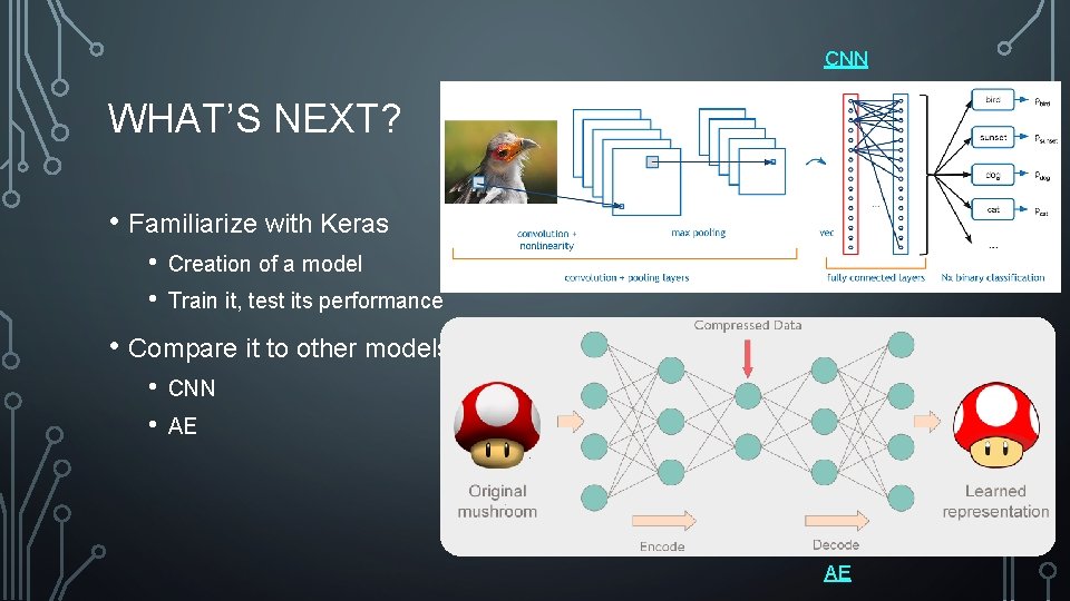 CNN WHAT’S NEXT? • Familiarize with Keras • • Creation of a model Train