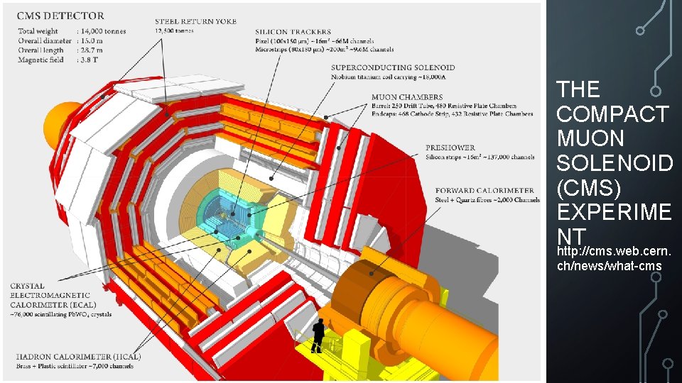 THE COMPACT MUON SOLENOID (CMS) EXPERIME NT http: //cms. web. cern. ch/news/what-cms 